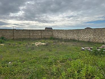kupça: 4 sot, Kənd təsərrüfatı, Mülkiyyətçi, Kupça (Çıxarış) — 6