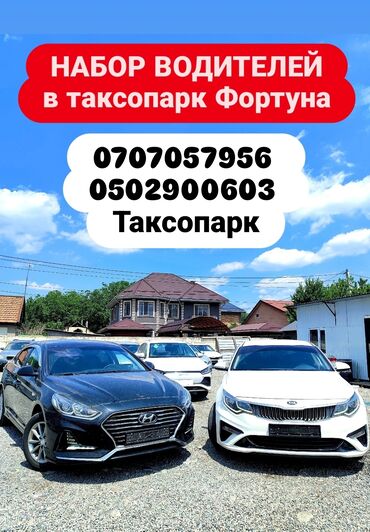 водитель со своим авто работа: Талап кылынат Такси айдоочусу