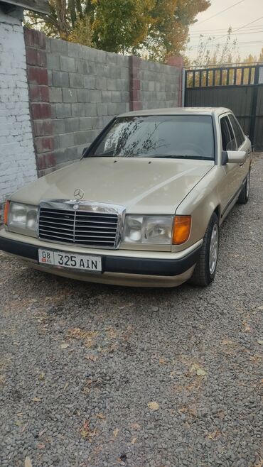 даф матор: Mercedes-Benz W124: 1988 г., 2.3 л, Механика, Газ, Седан