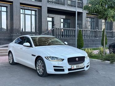 Jaguar: Jaguar XE: 2017 г., 2 л, Автомат, Дизель