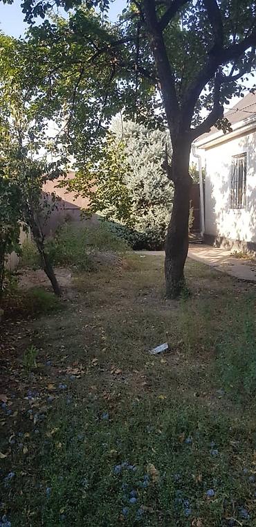 Үйлөрдү сатуу: 3 бөлмө, 45 м², 3 соток, Бишкек, Батыш (жаңы) автовокзалы Риелтор — 3