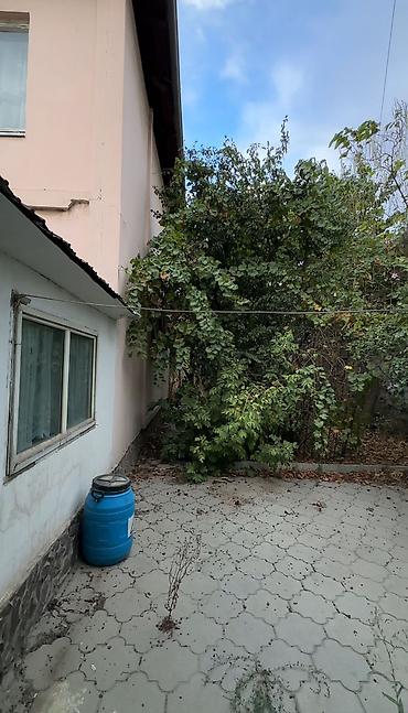 6 соток, Бизнес үчүн, Кызыл китеп, Техпаспорт, Сатып алуу-сатуу келишими — 2