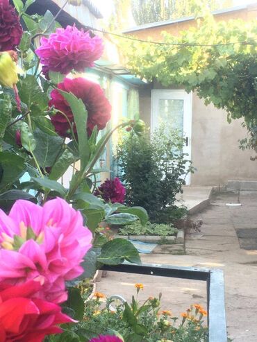 Продажа домов: Дом, 100 м², 6 комнат, Собственник, Старый ремонт — 19