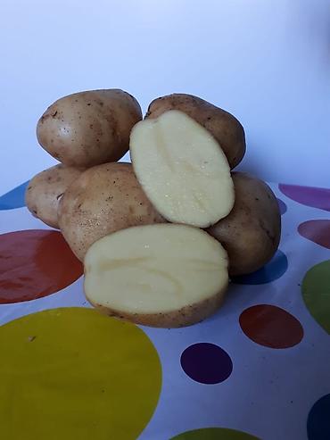 Удобрения и садовая химия: Удобрение Самовывоз — 22