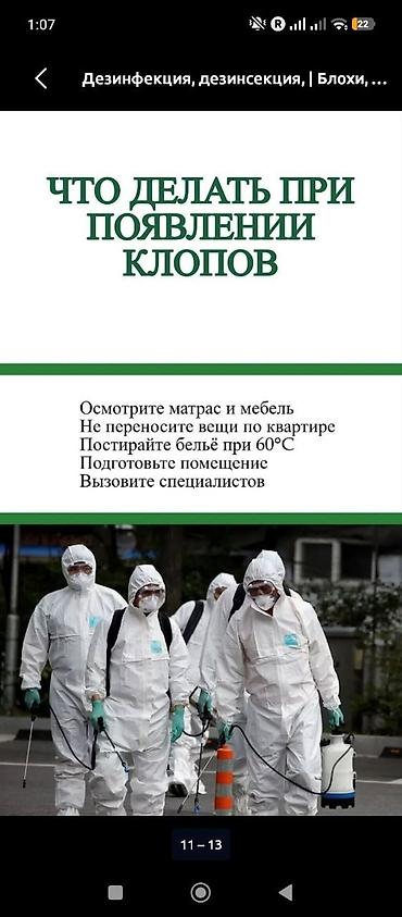 Клининг кызматтары: Дезинфекциялоо, дезинсекциялоо, | Канталалар, | Батирлер — 7