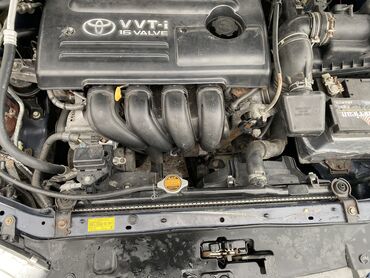 таёта авенсис: Toyota Avensis: 2002 г., 1.8 л, Механика, Бензин, Хэтчбэк