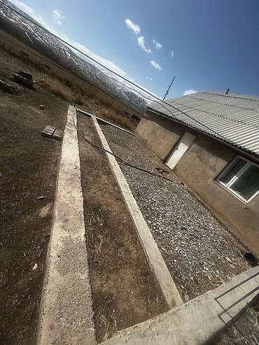 Продажа участков: 3 соток, Для сельского хозяйства — 5