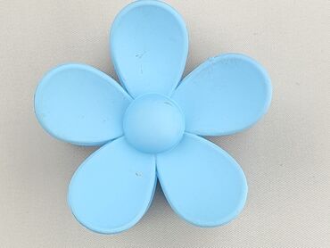 Hair clip, Female, condition - Very good