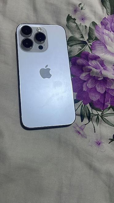 IPhone (серия Pro, цвет серебристый/белый) - Корпус с плоскими