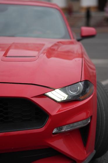 ford rapter: Ford GT: 2018 г., Автомат, Бензин, Купе — 7
