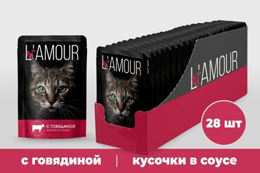 английская короткошерстная кошка: Влажный корм Lamoor сроки годности отличные доставка по городу