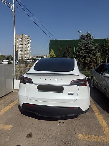 tesla p40: Tesla Model Y: 2023 г., Автомат, Электромобиль, Кроссовер — 2
