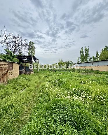 120: 🏠Продается дом в с. Беловодское Нижняя зона, центр Беловодск — 5
