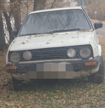 Volkswagen: Volkswagen Golf: 1991 г., 1.8 л, Механика, Бензин, Хэтчбэк