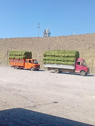 atego автовоз: Грузовой автомобиль Mercedes-Benz T2 (оранжевый, двурядная кабина) с — 4