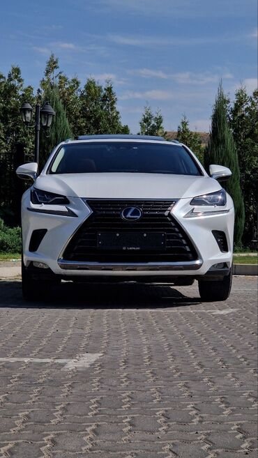 лексус гибрид: Lexus NX: 2019 г., 2.5 л, Автомат, Бензин, Внедорожник