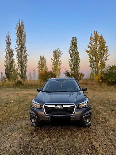 субару брз: Subaru Forester: 2019 г., 2.5 л, Вариатор, Бензин, Кроссовер — 1