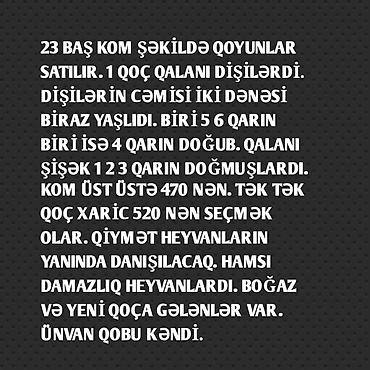 qoyun qiyməti 2024: Salam Aleykum. 23 Baş cins damazlıq qoyunlar var. 1Qoç 22 qoyun — 1