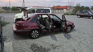 дайво: Daewoo Nexia: 2006 г., 1.6 л, Механика, Бензин, Седан — 4