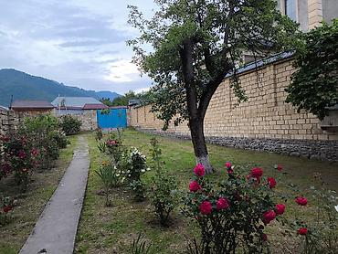 qubada torpaq sahesi satilir: 6 sot, Tikinti, Mülkiyyətçi, Kupça (Çıxarış) — 2