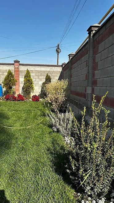 Продажа коттеджей и домов: 🏡 Сдаётся уютный дом с участком 5 соток — на долгий срок (от 6 — 4