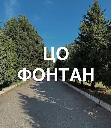 береговой: Сдаётся просторный дом у моря, полностью укомплектованный для отдыха — 9