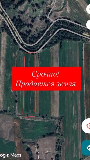 продается сад: Для сельского хозяйства, Красная книга