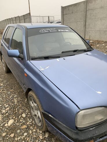 голубые ели: Volkswagen Golf: 1993 г., 1.4 л, Механика, Бензин, Хэтчбэк