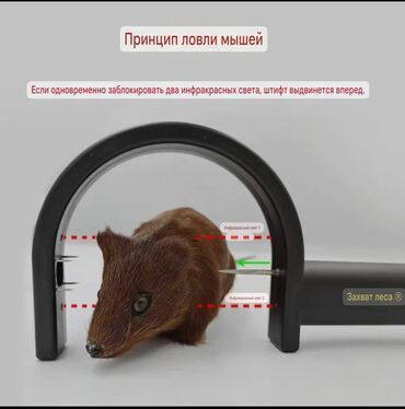 бытовая химия оптом со склада бишкек: Автоматическая мышеловка с инфракрасным датчиком предназначена для