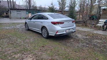 хундай палисайт: Hyundai Sonata: 2018 г., 2 л, Типтроник, Газ, Седан