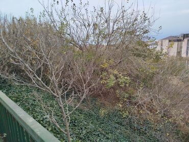 Torpaq sahələrinin satışı: 10 sot, Tikinti, Maklerlər narahat etməsin, Kupça (Çıxarış) — 8