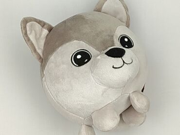 koszulka wilk i zając: Mascot Dog, condition - Perfect