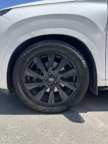 Hyundai: Hyundai Palisade: 2020 г., 2.2 л, Автомат, Дизель, Кроссовер — 22