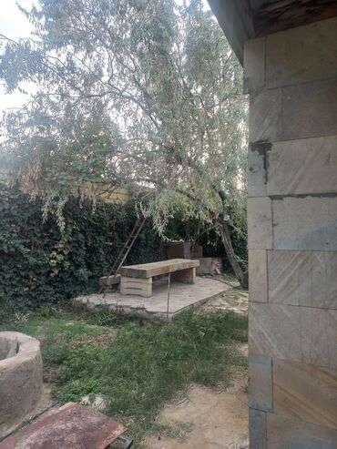 Bağ evlərinin satışı: Novxanı, 100 kv. m, 2 otaqlı, Hovuzsuz, Su — 6