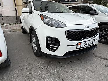 sportage 2021: Kia Sportage: 2019 г., 2.4 л, Автомат, Бензин, Кроссовер — 2