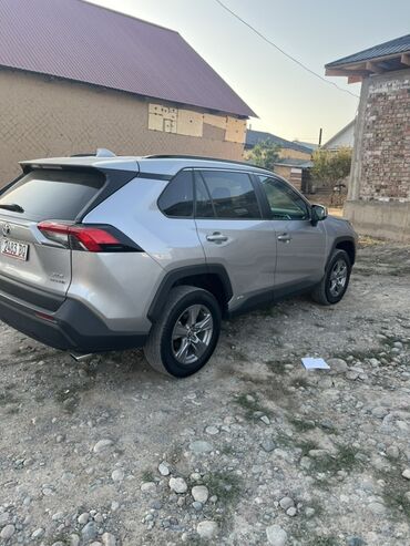 решетка на пассат б4: Toyota RAV4: 2022 г., Бензин, Кроссовер