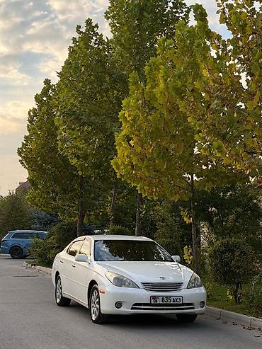 Продажа авто: Toyota Windom: 2003 г., 2.4 л, Автомат, Бензин, Седан — 3
