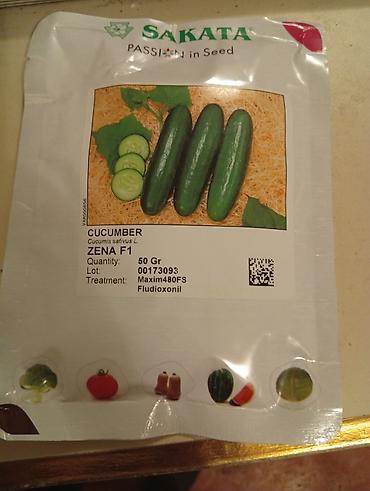pelarqoniya bitkisi: Sakata markalı xiyar toxumu – ZENA F1 hibridi - Bitki: Cucumis — 1
