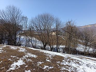 Torpaq sahələrinin satışı: 100 sot, Mülkiyyətçi, Bələdiyyə — 4