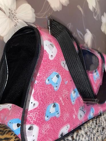 Зоотовары: Продаются переноски размер L Подойдут как собакам мелких породтак и — 8