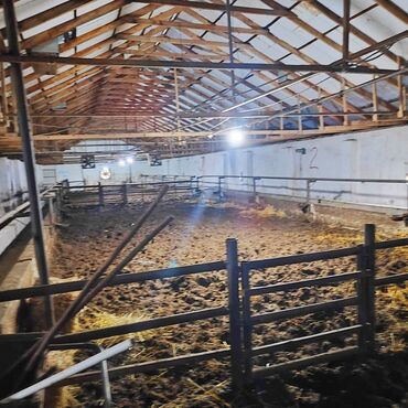 Torpaq sahələrinin satışı: Kənd təsərrüfatı, Mülkiyyətçi, Bələdiyyə, Kupça (Çıxarış) — 22