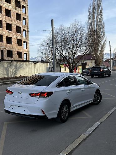 Hyundai: Hyundai Sonata: 2023 г., 2 л, Типтроник, Газ, Седан — 4