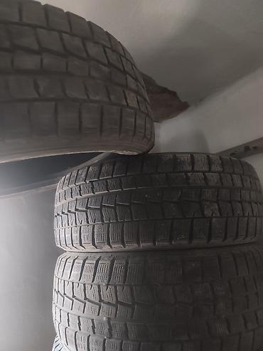 infinity fx35: Шины 215 / 55 / R 16, Зима, Б/у, Комплект, Легковые, Япония, DUNLOP — 3
