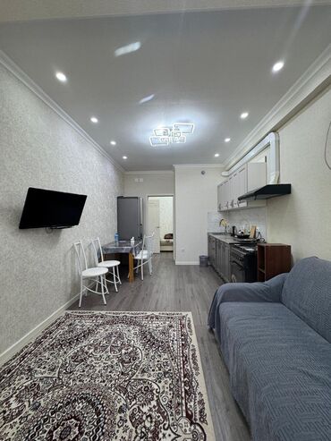 Продажа домов: 1 комната, 50 м², 13 этаж, Евроремонт
