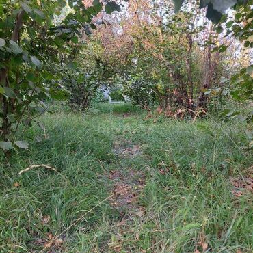 Torpaq sahələrinin satışı: 12 sot, Tikinti, Mülkiyyətçi, Kupça (Çıxarış) — 10