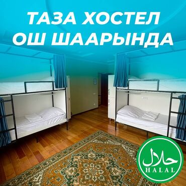 бишкек барачный дом: 🛏️ NOVO Хостели - ХАЛАЛ! ❤️ Ош шаарынын борборунда Адрес: Кадыркула