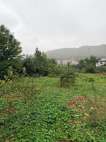 bülbülə torpaq: 11 sot, Biznes üçün, Mülkiyyətçi, Kupça (Çıxarış) — 8