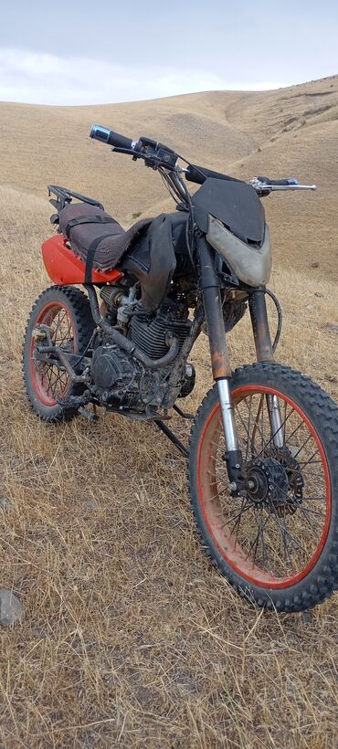 киа спортейдж 2018 цена бишкек: Питбайк CFMoto, 150 куб. см, Бензин, Чоңдор үчүн, Колдонулган
