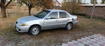 corolla runx: Toyota Corolla: 2000 г., 1.8 л, Автомат, Бензин, Седан