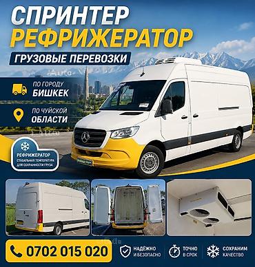 медики: Специализированные грузоперевозки рефрижератором Sprinter - Маршруты — 1